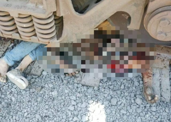 Indocumentado muere descuartizado por el tren en los patios de Ferromex