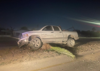 Abandonan pick up tras derribar una palma