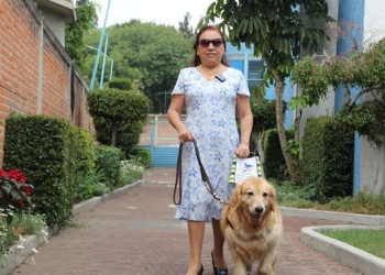 Llama Conapred a garantizar acceso de servicios públicos y privados a personas usuarias de perros guía