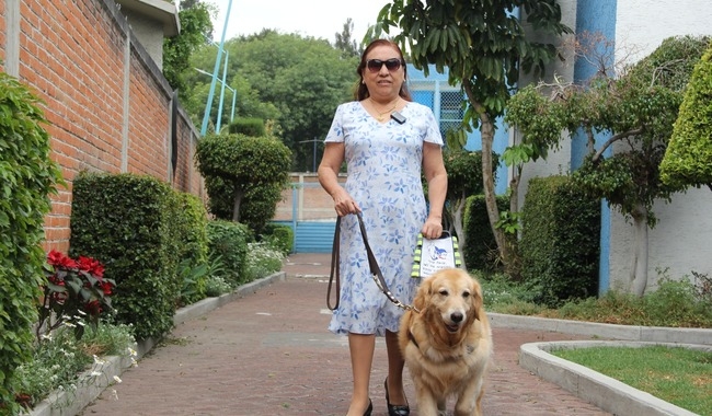 Llama Conapred a garantizar acceso de servicios públicos y privados a personas usuarias de perros guía