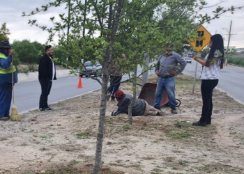 Mujer atropella con su vehículo a dos trabajadores del municipio