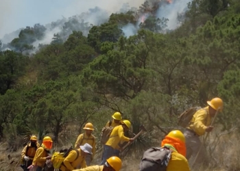 Siguen los esfuerzos para combatir incendio forestal
