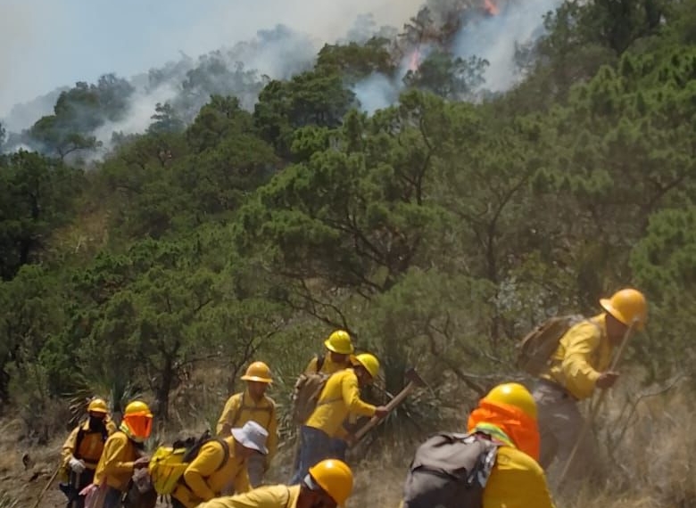 Siguen los esfuerzos para combatir incendio forestal