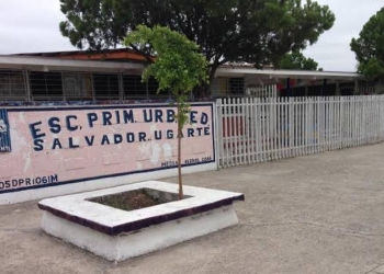 Roban y ocasionan daños en la primaria Ugarte