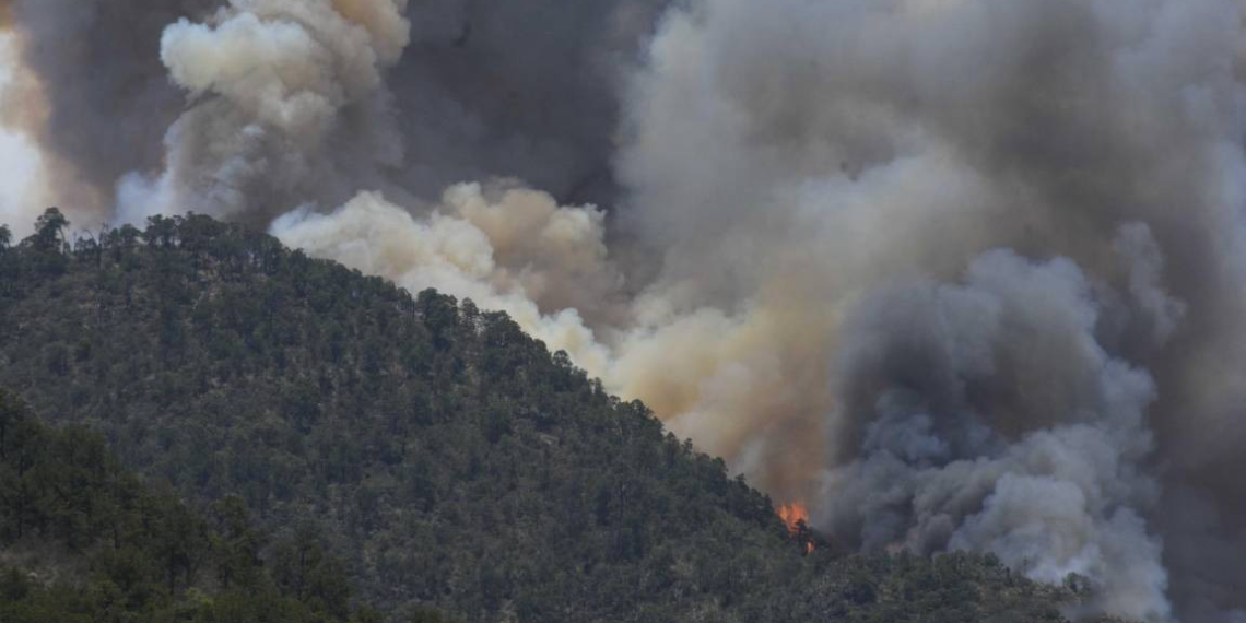 Coahuila logra sofocar cuatro incendios forestales y continúa el combate en 8 más