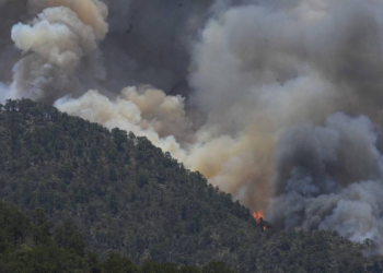 Coahuila logra sofocar cuatro incendios forestales y continúa el combate en 8 más