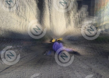 Muere tras caer de un puente