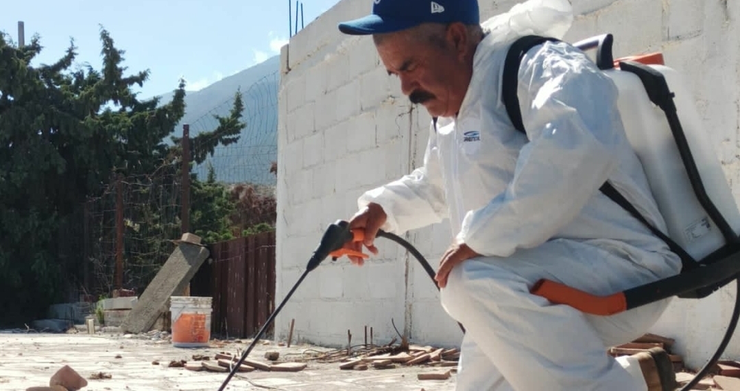 Llevan 48 domicilios fumigados