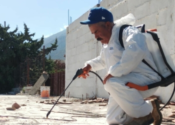 Llevan 48 domicilios fumigados