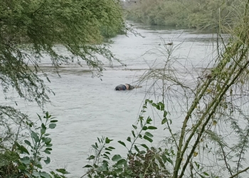Flotan dos cuerpos en el Río Bravo