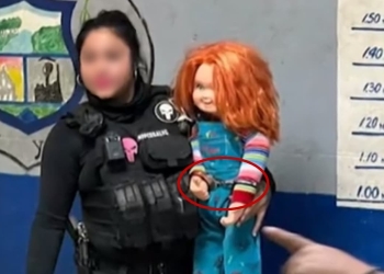 Agarran al Chucky en Monclova; su dueño lo usaba para sembrar el terror