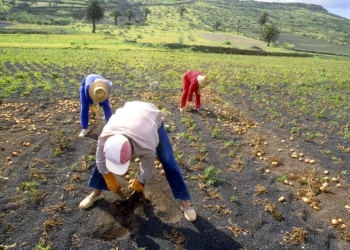Recientes lluvias brindan esperanza para la recarga de acuíferos en Coahuila