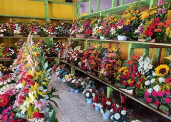 Comerciantes de flores se preparan para el Día de los Muertos