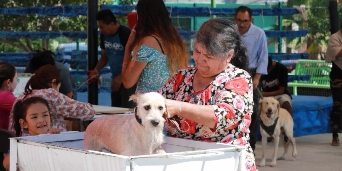 Llegará campaña contra las garrapatas a Mirasierra y Teresitas