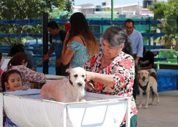 Llegará campaña contra las garrapatas a Mirasierra y Teresitas