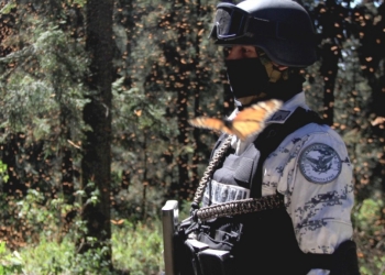 Guardia Nacional participará en tareas de vigilancia ambiental