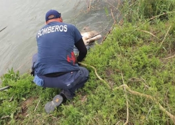 Flota otro cuerpo en el Río Bravo