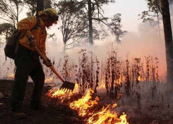 Inyección millonaria de la Conafor fortalece combate contra incendios en Coahuila