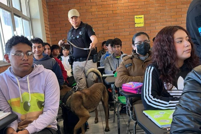 Genera preocupación estado físico de perro en operativo mochila
