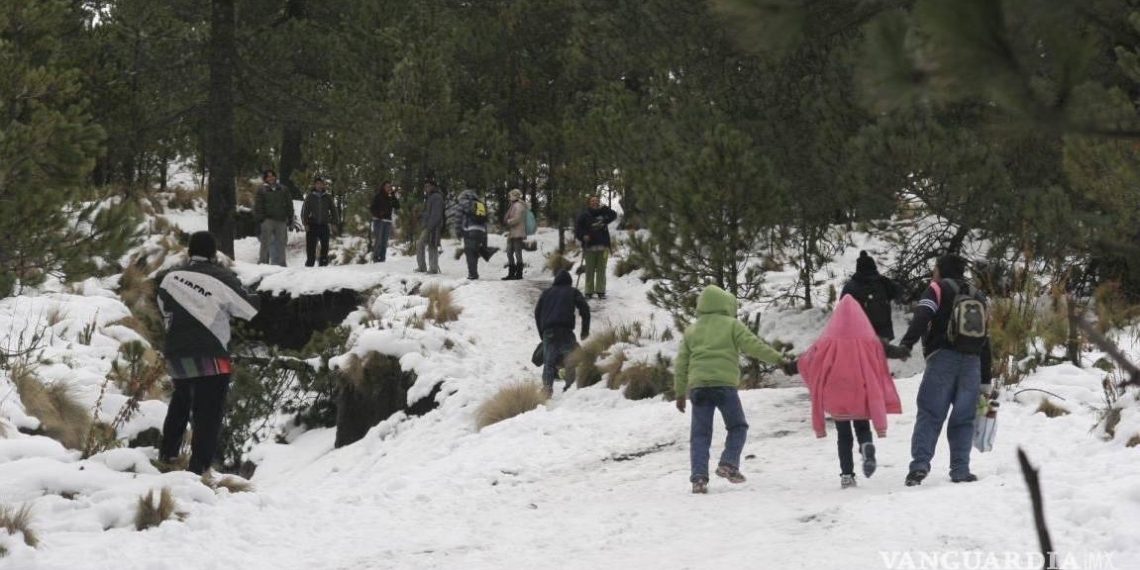 Saltillo, Ramos Arizpe y Arteaga enfrentan el frío extremo
