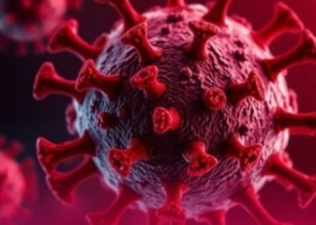 Confirman casos de virus HMPV en México; monitorean posible brote respiratorio