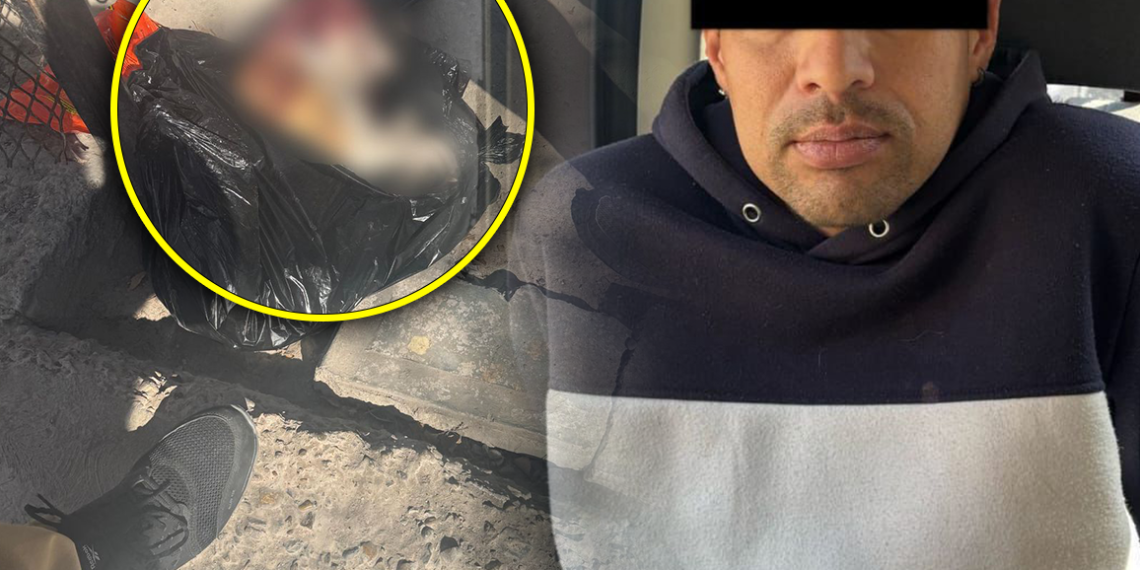 Detienen a hombre por matar a golpes a un perro en la Lázaro Cárdenas