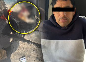 Detienen a hombre por matar a golpes a un perro en la Lázaro Cárdenas